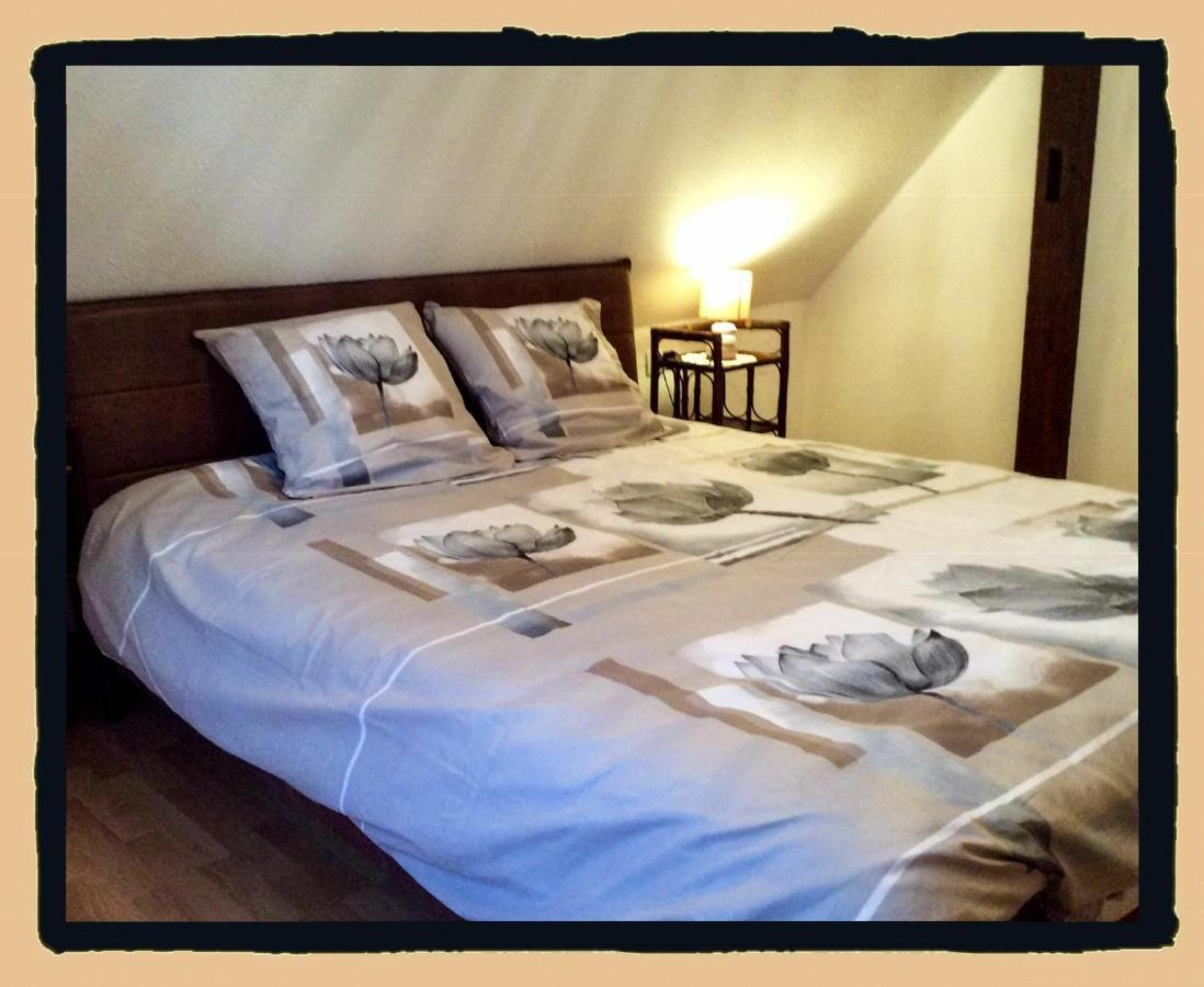 Residence Des Lentilles Schiltigheim Εξωτερικό φωτογραφία