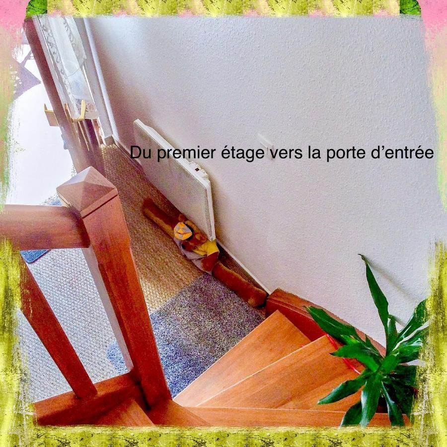 Residence Des Lentilles Schiltigheim Εξωτερικό φωτογραφία